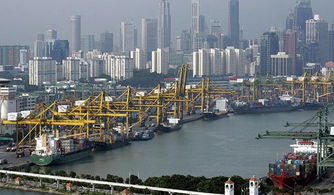 新加坡海运双清到门费用明细,新加坡海运拼箱到门
