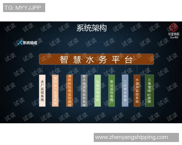 深圳极限运动队表现分析：整体压制策略的成效与不足之处探讨