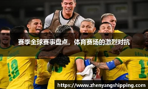 赛季全球赛事盘点，体育赛场的激烈对抗