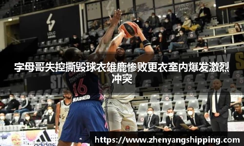 28圈官方网站